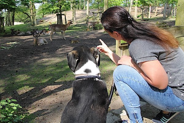 Wildpark MV Hunde